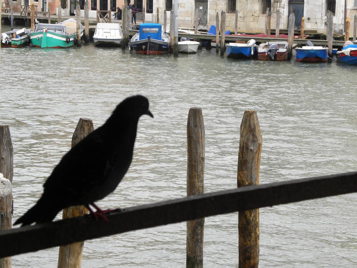 La Felice Canal Grande Venedig Exterior foto